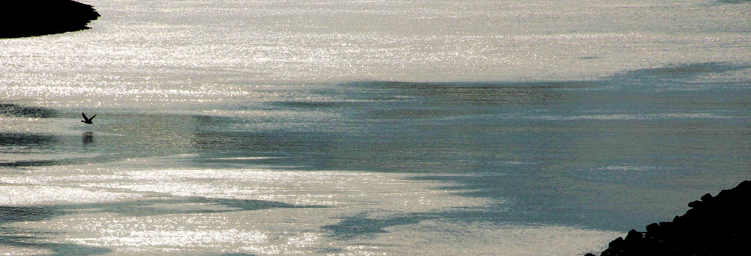 sabine-muehl-slider-1